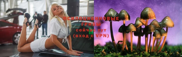 дмт Баксан