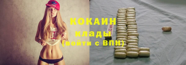 стаф Калининец